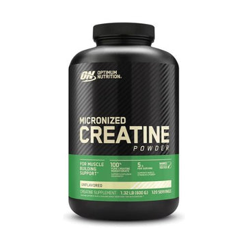 Optimum Nutrition Micronised Creatine Powder